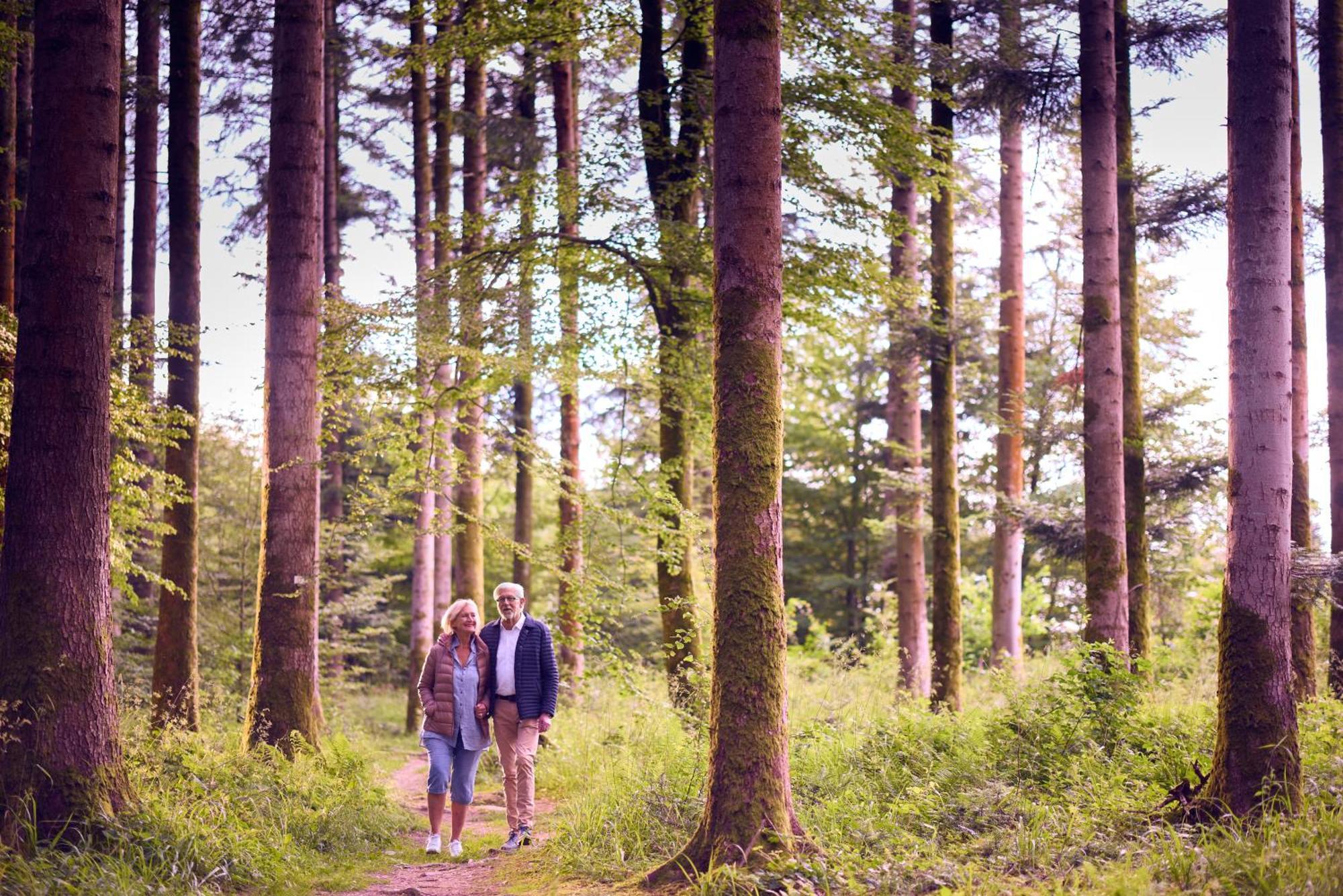Center Parcs Les Trois Forets Hattigny Eksteriør bilde